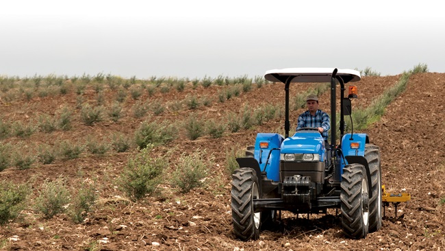 newhollandtds-1